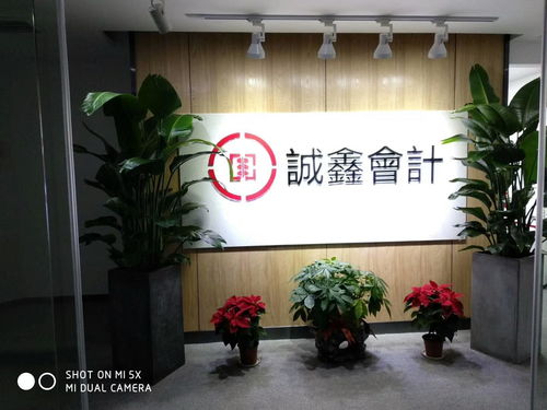 專業(yè)伙伴本土力量 湖南誠(chéng)鑫會(huì)計(jì)服務(wù)集團(tuán)與賀州企業(yè)服務(wù)的深度實(shí)踐